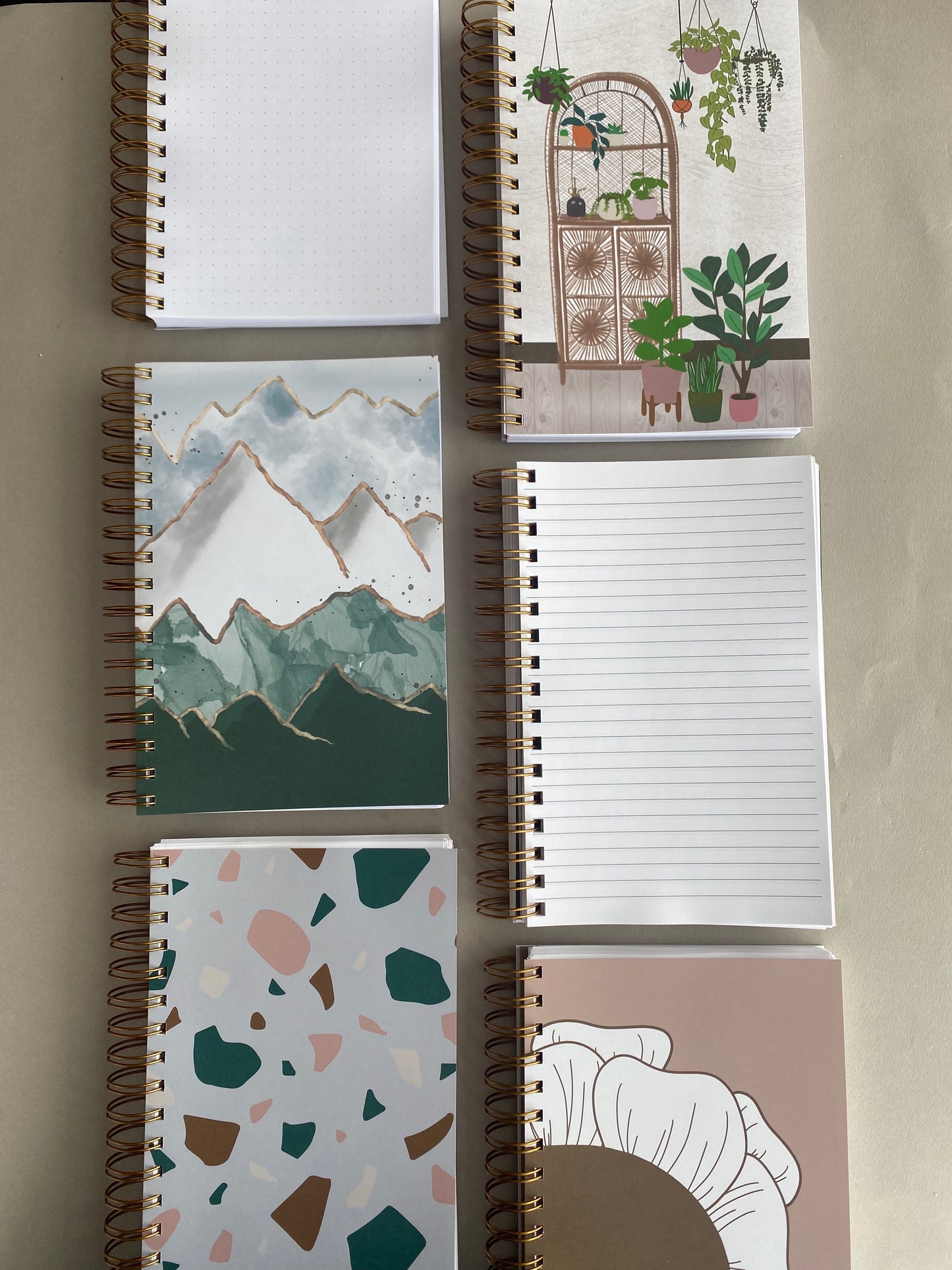 Notebook - Rays