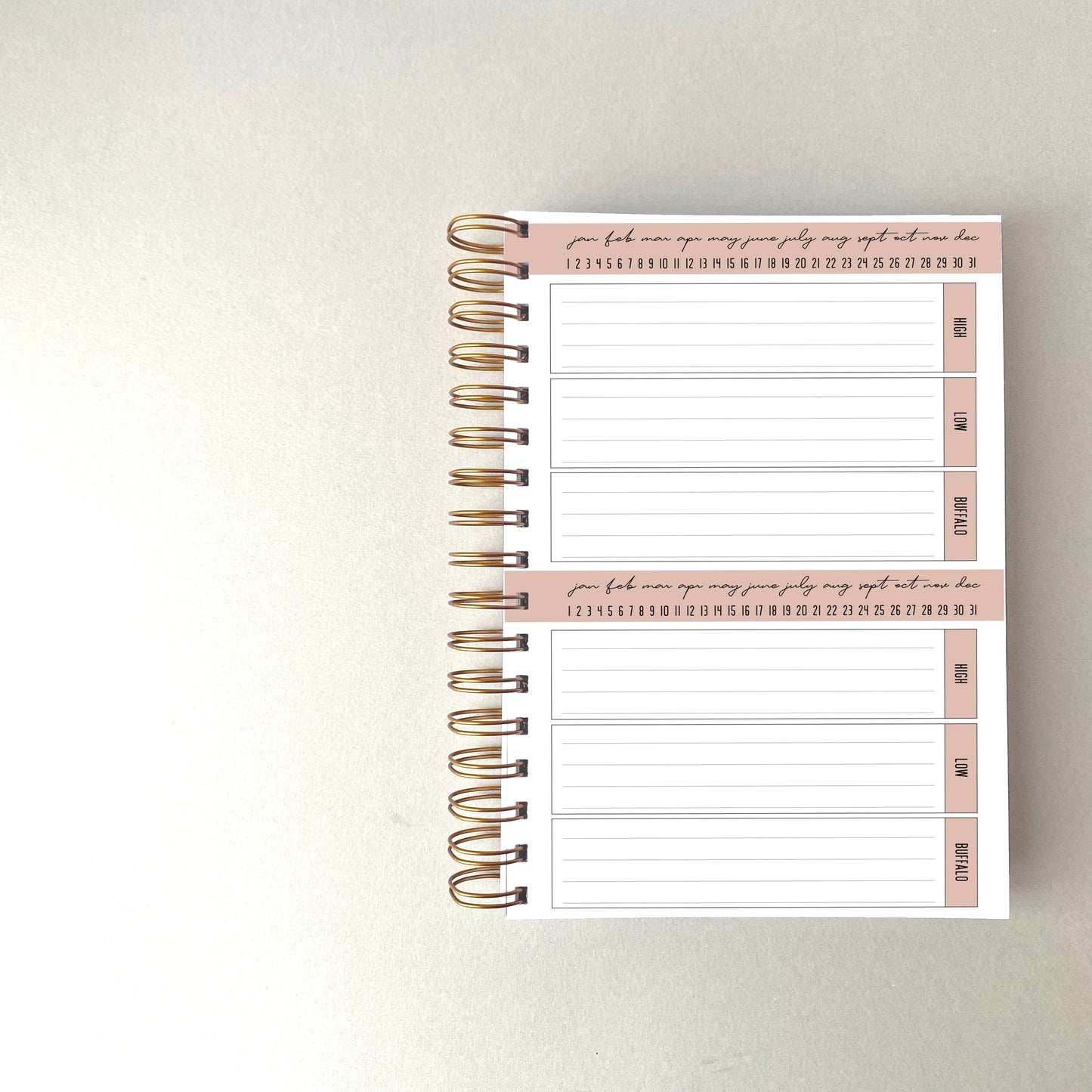 Gratitude Journal