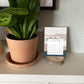 2023 Wood Slice Desk Calendar - Pink & Navy