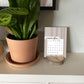 2023 Wood Slice Desk Calendar - Pink & Navy