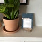 2024 Wood Slice Desk Calendar - Pink & Navy