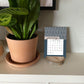 2023 Wood Slice Desk Calendar - Pink & Navy