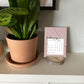 2024 Wood Slice Desk Calendar - Pink & Navy