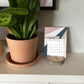 2023 Wood Slice Desk Calendar - Pink & Navy