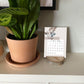 2023 Wood Slice Desk Calendar - Pink & Navy