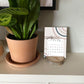 2023 Wood Slice Desk Calendar - Pink & Navy