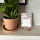 2023 Wood Slice Desk Calendar - Pink & Navy